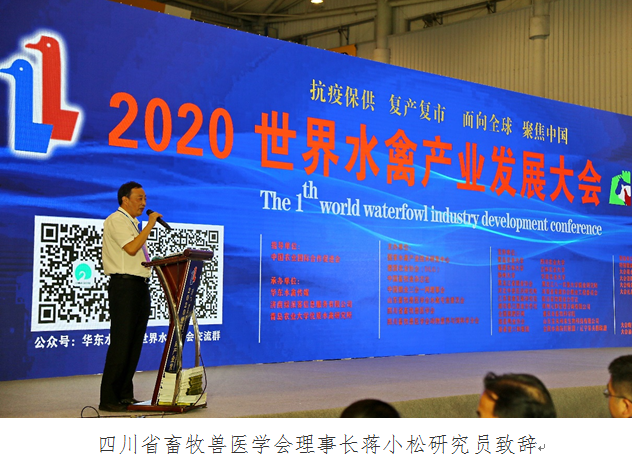 QQ图片20200911155227.png