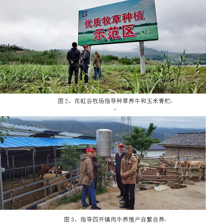 QQ图片20220520091538.png