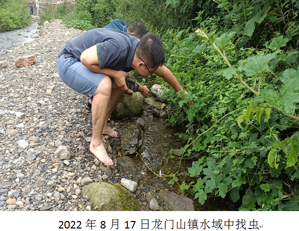 QQ图片20220829093408.png